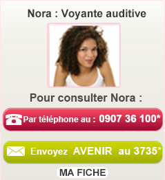 Voyante auditive par telephone